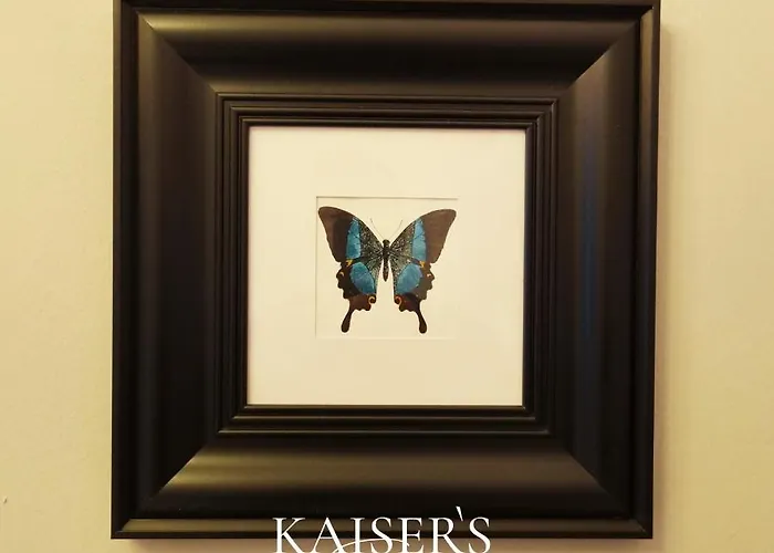 Kaiser's * Viena